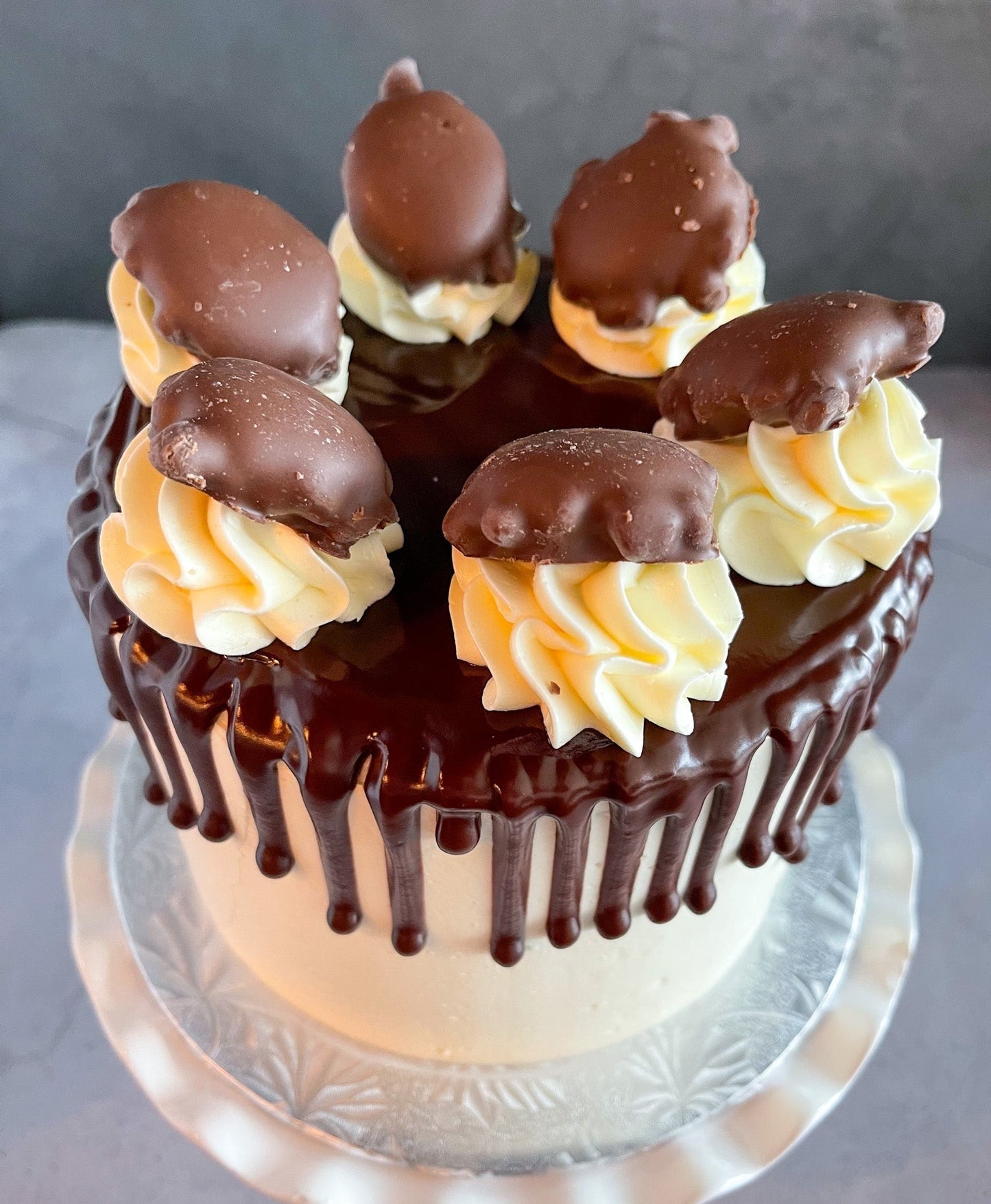 Turtle Dessert Cake